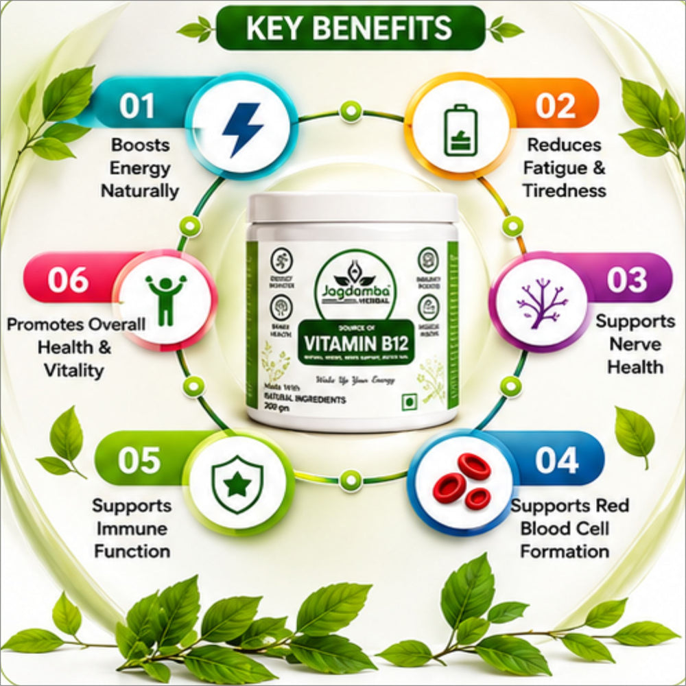 Vitamin B12 Powder benefits for daily nutritional support