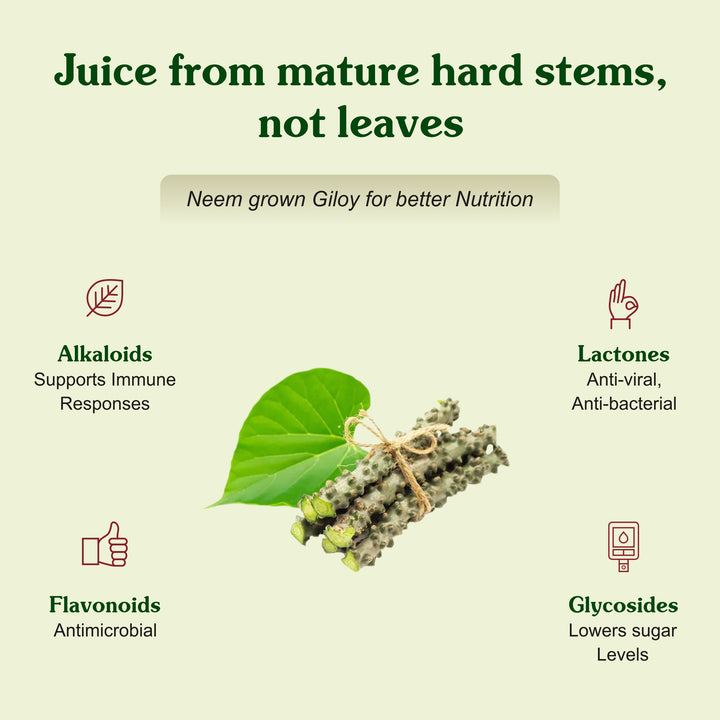 ગીલોય સીરપ